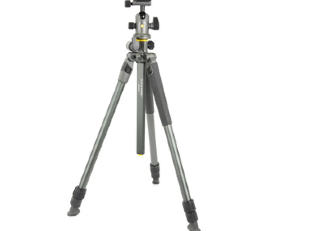 Vanguard Tripods / Heads | Alta Pro 263 AB 100 Tripod SBH100 Head