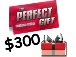 Cameracanada Extended Warranties / Gift Cards | $300 Camera Canada Gift Card