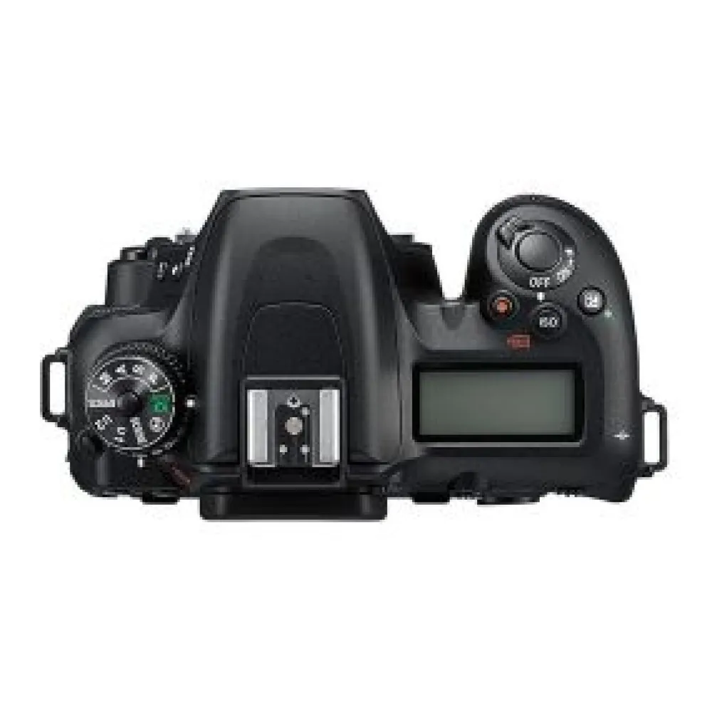 Nikon Interchangeable Lens Cameras | D7500 Body