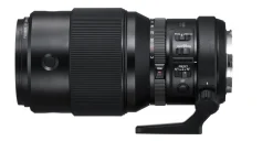 Fujifilm Telephoto Prime | Mirrorless Lenses Only | FUJINON GF250mm F4 R LM OIS WR