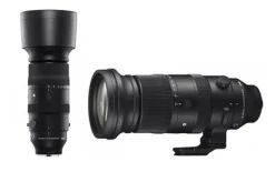 Sigma Telephoto Zoom | 60-600mm f4.5-6.3 DG DN Sports Lens L-Mount