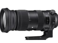 Sigma Telephoto Zoom | 60-600mm f4.5-6.3 DG OS HSM Sports Lens for Nikon #