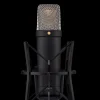 RODE Video Accessories | Microphones / Headphones / Speakers | NT1 5th Generation Studio Condenser Mic Black